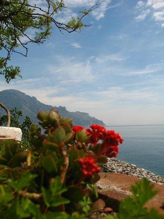 Ristorante Da Zaccaria